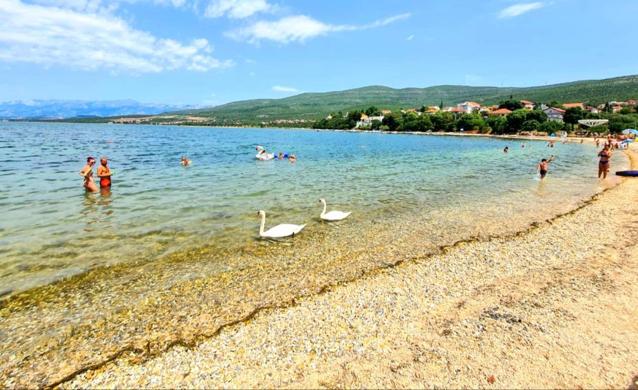 Babaloo Beach Apartments Gornji Karin Exteriér fotografie